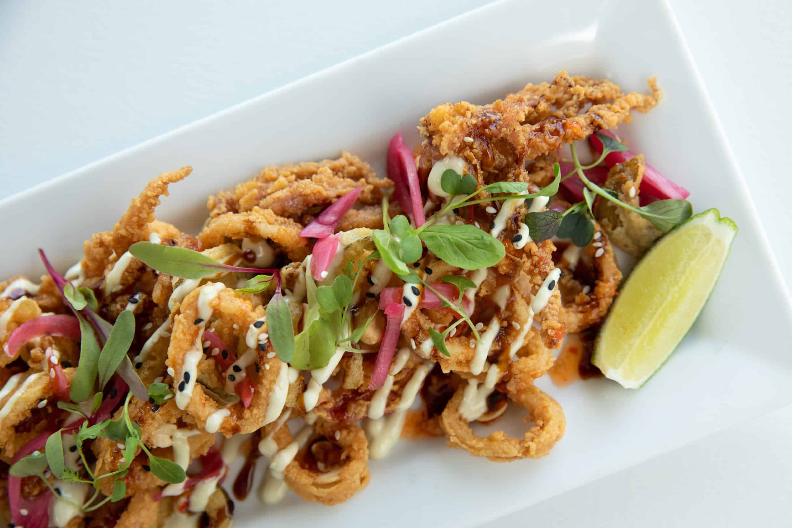 0J5A3723 FINAL CALAMARI