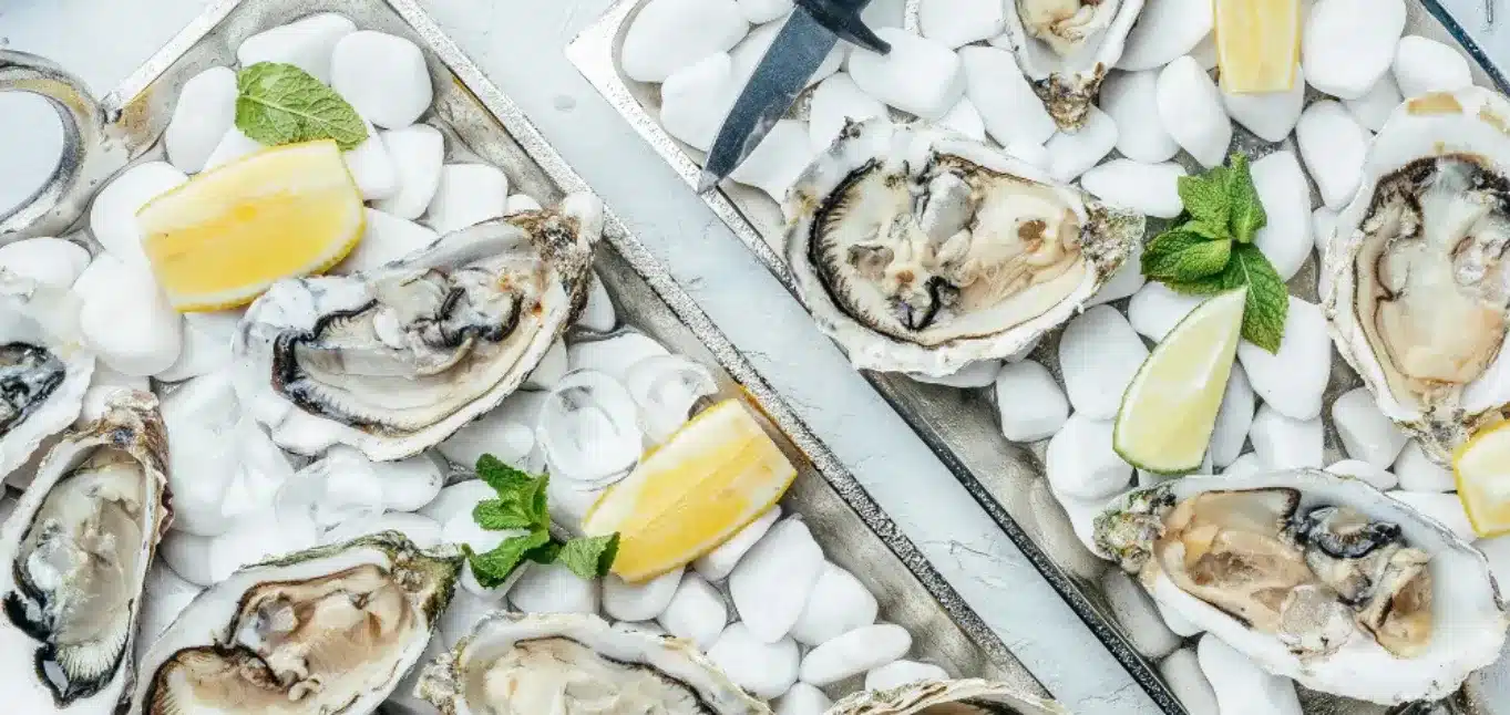 Fresh Oysters _ Ocean Vibes_ Why Go Fish Is Mystics Hidden Gem_ Fresh Oysters _ Ocean Vibes