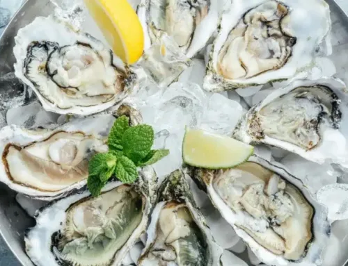 Seafood Lovers Rejoice: Go Fish Offers the Best Oysters in Town