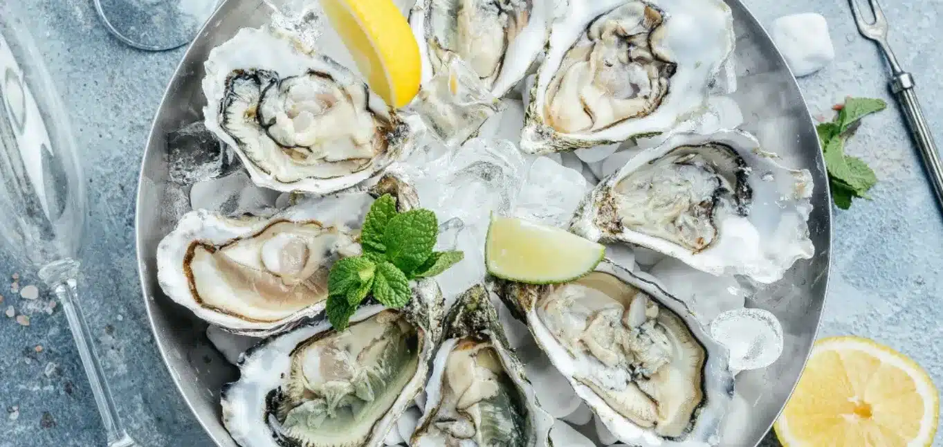 Seafood Lovers Rejoice_ Go Fish Offers the Best Oysters in Town_ Best Oysters in Mystic CT