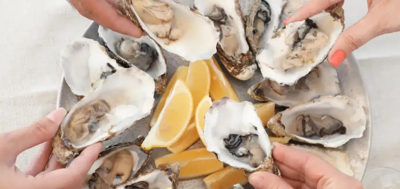 Where to Eat Oysters in Mystic_ CT – A Locals Guide to Go Fish_ Best Oysters in Mystic CT | Outdoor Sushi & Seafood Dining