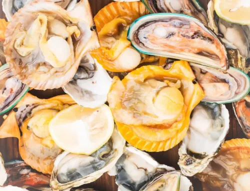 Summer Shellfish Guide: Beyond Oysters—Try Clams, Scallops & More
