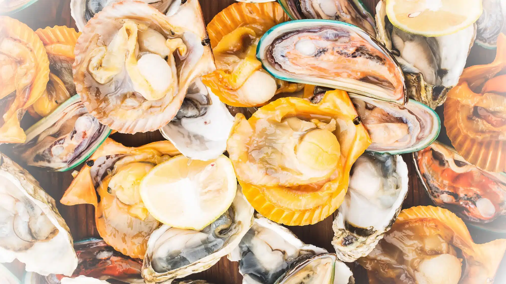 Summer Shellfish Guide_ Beyond Oysters—Try Clams_ Scallops _ More