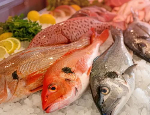 Cold-Water Fish Varieties That Shine in Mystic’s November Menu