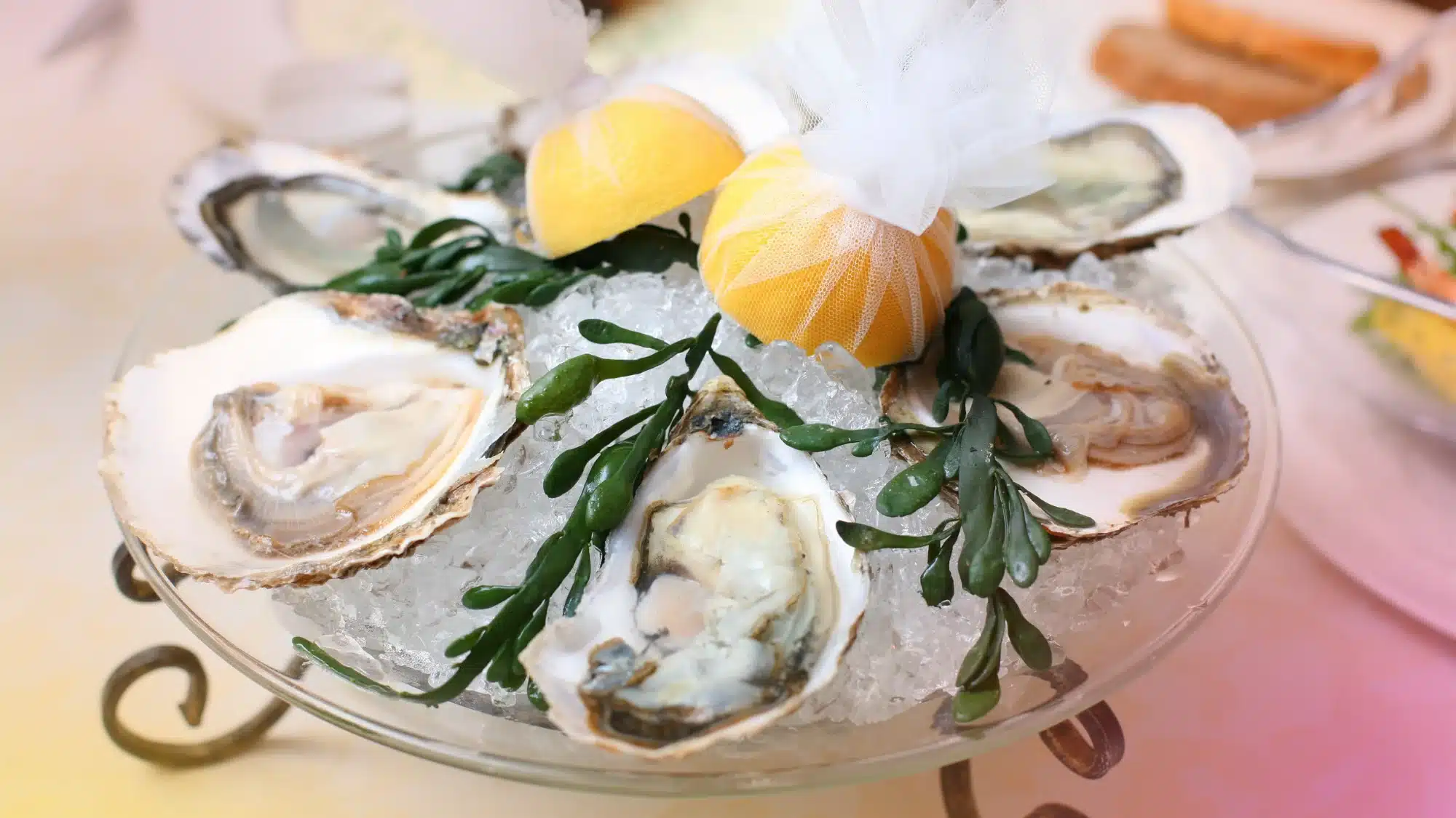 Holiday Oyster Events_ Hosting a Raw Bar at Home (With Go Fishs Tips)