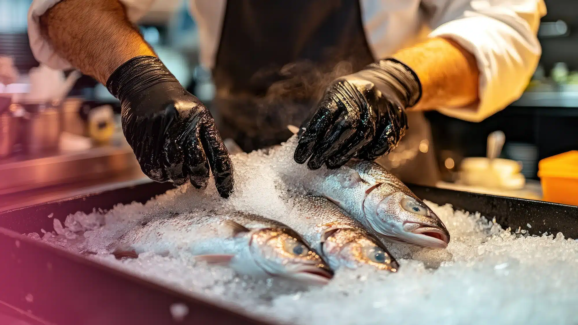 Winter Seafood Sustainability_ What Responsible Chefs Source in December