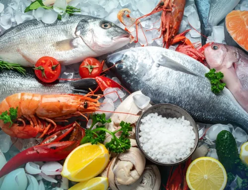 A Local Guide to Finding the Best Fresh and Authentic Seafood in Stonington, Connecticut