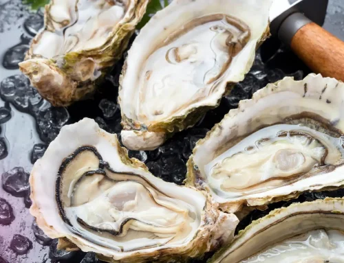 Learn How Locally Sourced Oysters in Mystic Enhance Seafood Quality and Dining Experiences