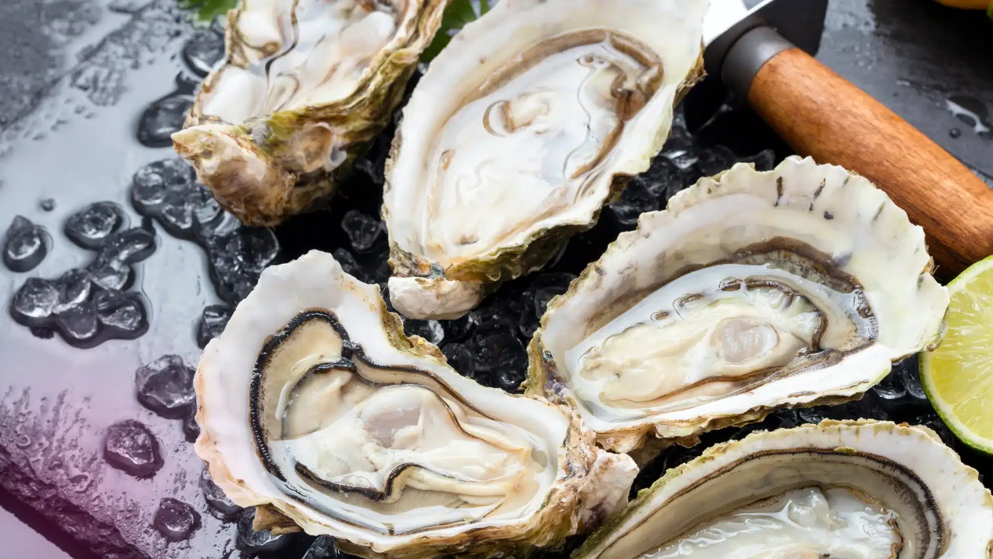 Fresh locally sourced oysters from Mystic CT served on ice at a seafood restaurant raw bar highlighting coastal New England dining experience
